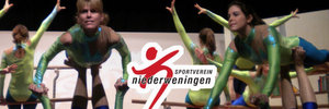 Sportverein Niederweningen